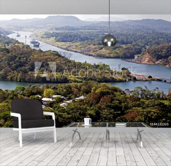 Picture of Ships navigate the Panama canal